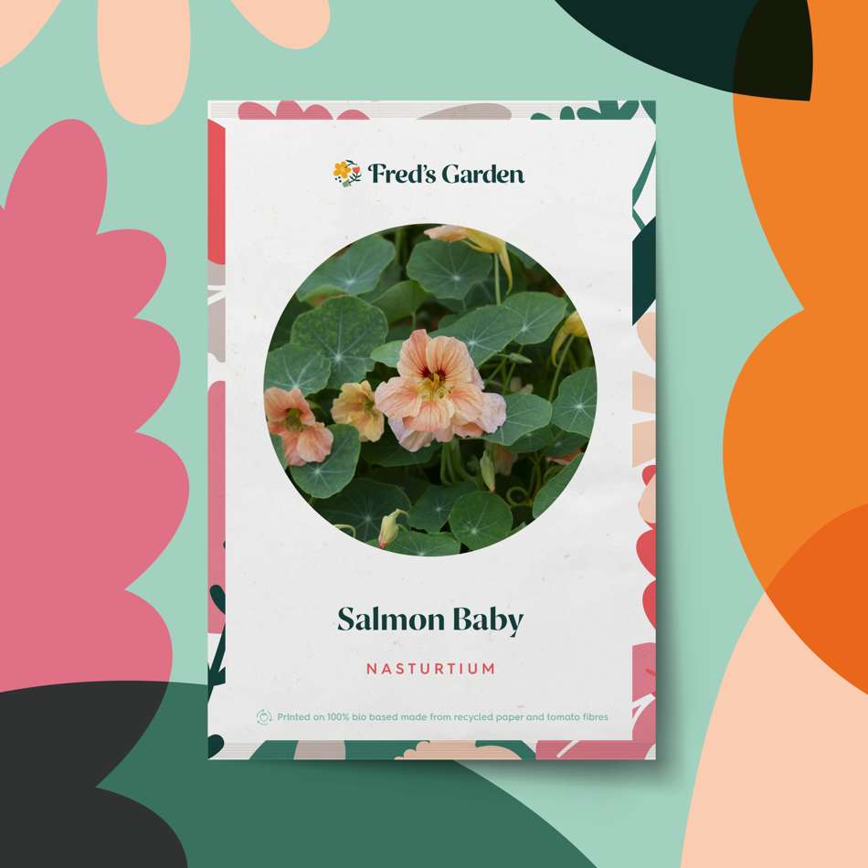 Indiankrasse 'Salmon Baby' (frö)